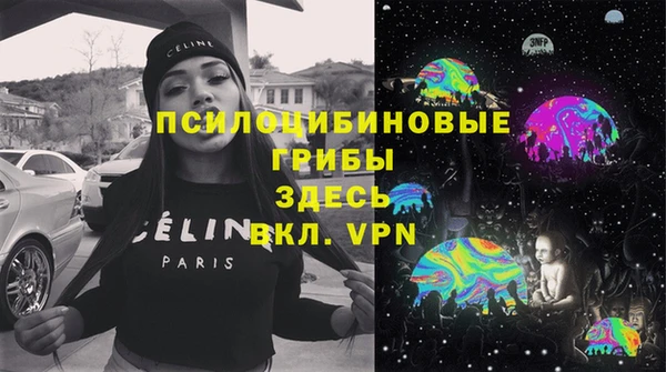 ГАЛЛЮЦИНОГЕННЫЕ ГРИБЫ Аркадак