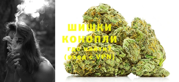 гидра Абаза