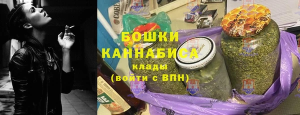 ГАЛЛЮЦИНОГЕННЫЕ ГРИБЫ Аркадак