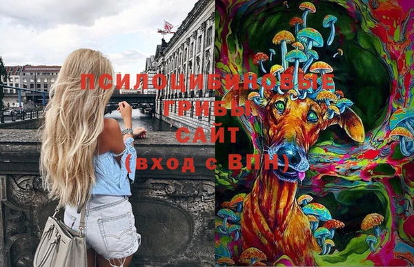 ГАЛЛЮЦИНОГЕННЫЕ ГРИБЫ Аркадак