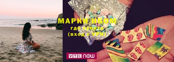 гидра Абаза