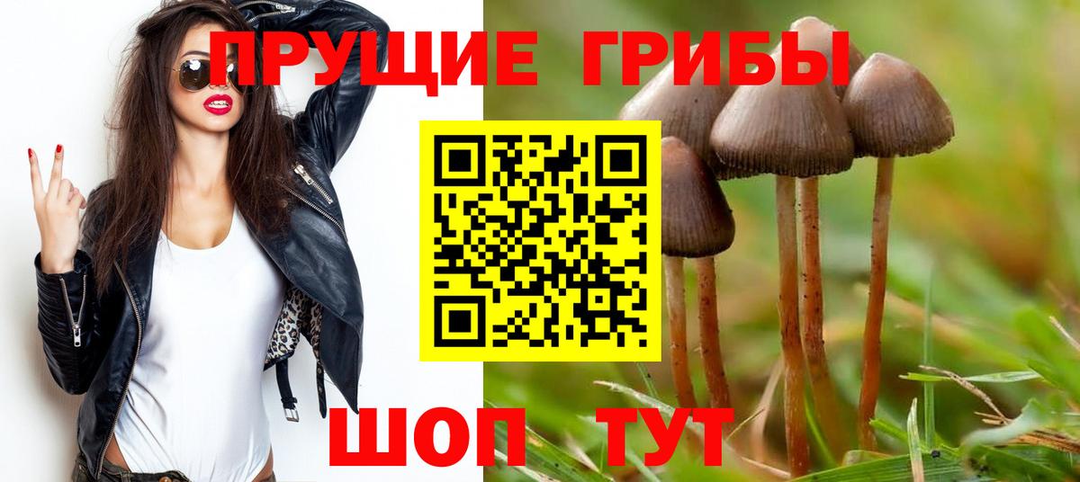 Псилоцибиновые грибы мицелий Тобольск