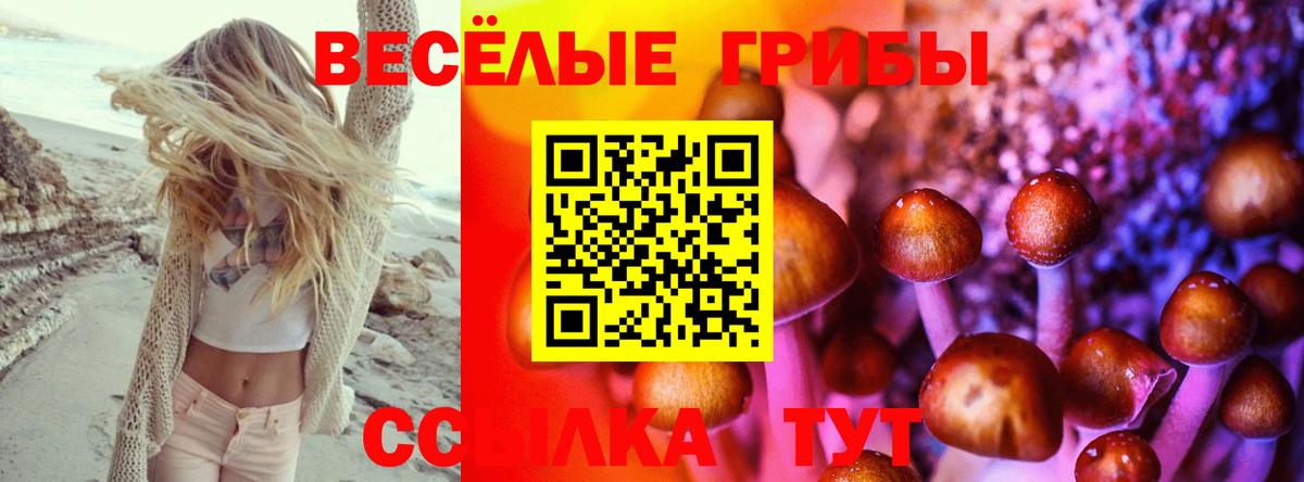 Псилоцибиновые грибы мицелий  Вход с VPN  Тобольск 